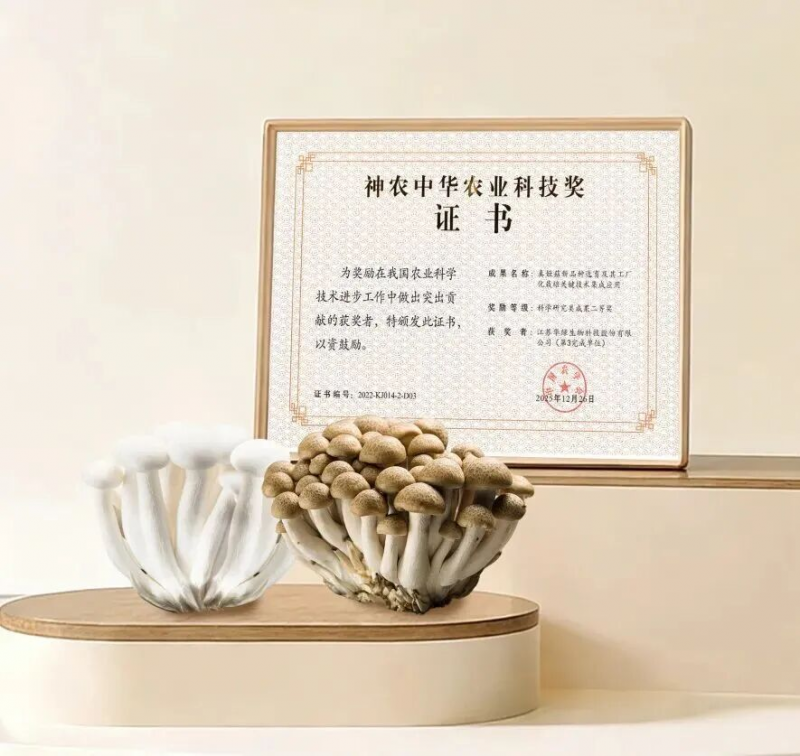 院企合作助推金針菇新品種“華金45”自主育種技術突破與知識產權服務升級
