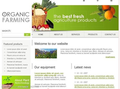 個(gè)性網(wǎng)頁(yè)模板設(shè)計(jì) 點(diǎn)亮電子商務(wù)經(jīng)營(yíng)的視覺(jué)引擎